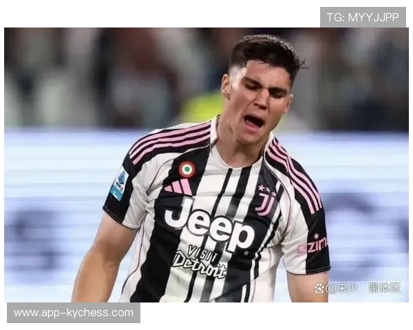 意甲VAR使用五年回顾,误判率降但争议未消